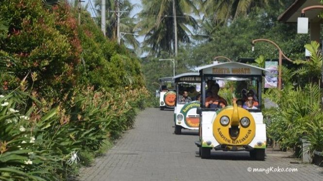 Wisata Kampoeng Kopi Banaran Semarang