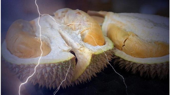 Manfaat Buah Durian Untuk Kesehatan Tubuh Yang Menjanjikan