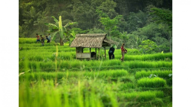 13 Tempat Wisata Di Tasikmalaya Yang Paling Indah Dan Memesona