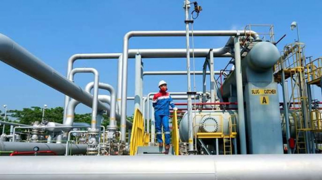 Inisiatif Bisnis Pgn Lng Wujudkan Transisi Energi Berkelanjutan