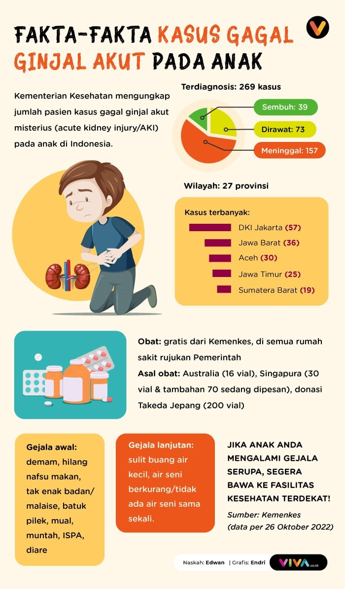 INFOGRAFIK: Fakta-fakta Kasus Gagal Ginjal Akut Pada Anak