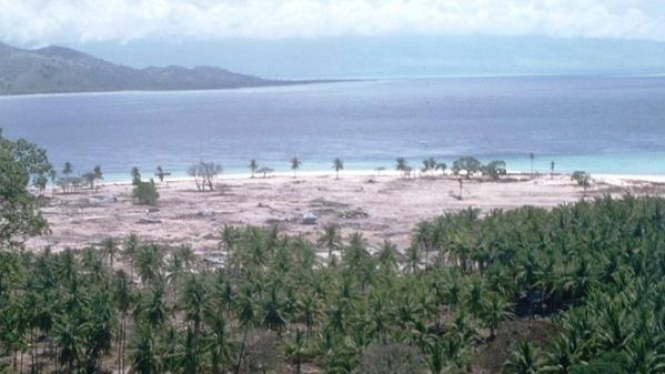 Flores, Pulau Babi, 1992