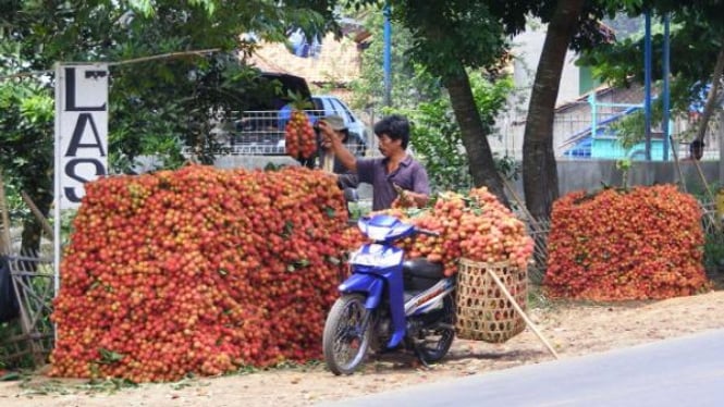 Buah Rambutan