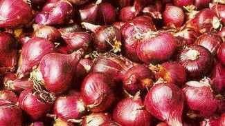 5 Tips Menyimpan Bawang Merah dan Putih Agar Tetap Segar Hingga Berminggu-Minggu