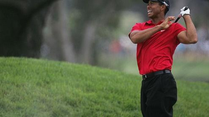 Tiger Woods menahan sakit di US Open 2008