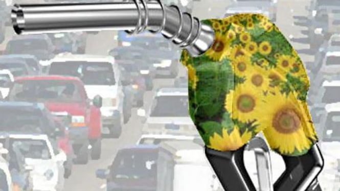 Ilustrasi Biodiesel