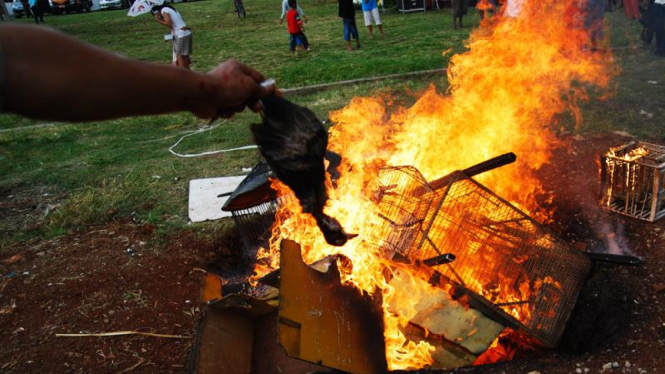 Pemusnahan Wabah Flu Burung