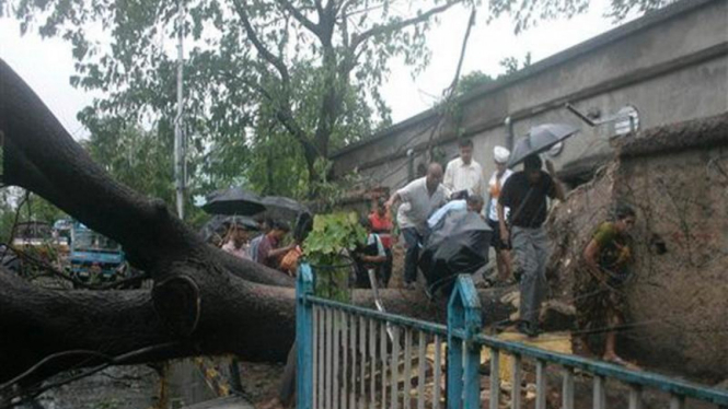 Angin topan di Kalkuta (Kolkata), India, menumbangkan pohon besar