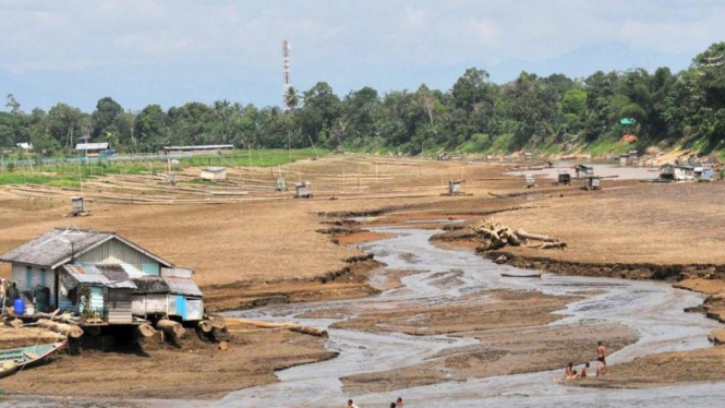 Hulu sungai Kapuas, Kalimantan Barat, mengering