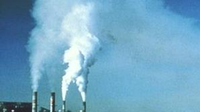 Asap pabrik mencemari lingkungan
