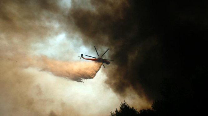 Ilustrasi/Kebakaran hutan di Indonesia