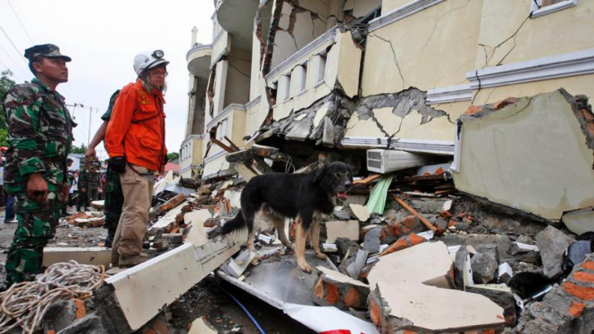 Gempa di Kota Padang : Anjing Pelacak