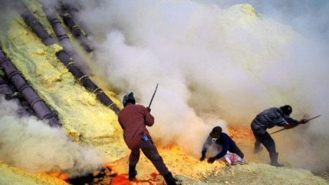 Ilustrasi/Aktivitas menambang belerang di kaldera Gunung Ijen, Banyuwangi, Jawa Timur