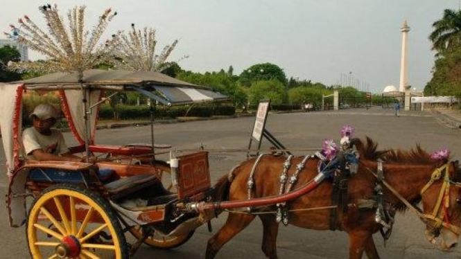 Delman di kawasan Monumen Nasional (Monas)