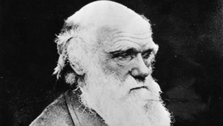 Mayoritas Guru SMA Tak Dukung Teori Evolusi