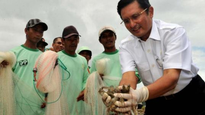 Menteri Kelautan & Perikanan Fadel Muhammad panen udang Vaname Nusantara I