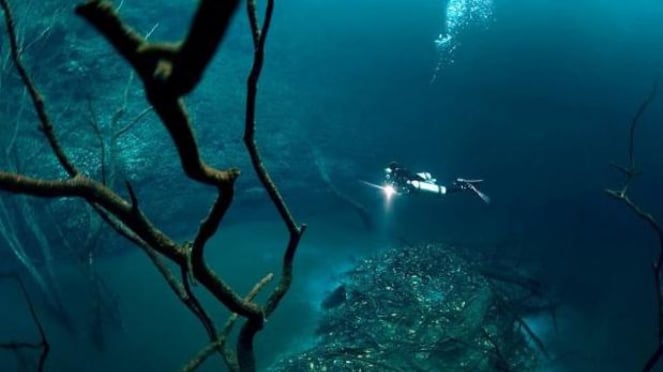 river-like layer of gas in the sea, Cenote Angelita, Mexico