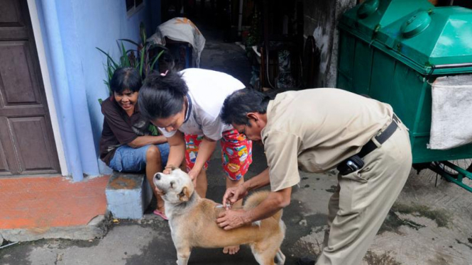 Vaksinasi Anjing Cegah Rabies