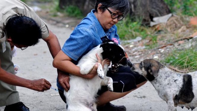 Vaksinasi Anjing Cegah Rabies