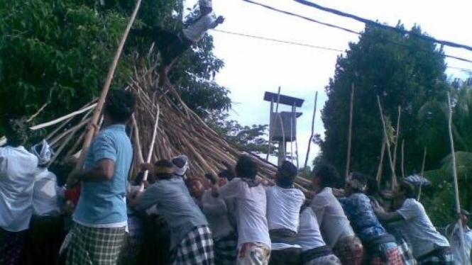 Tradisi Makotek di Mengwi, Badung, Bali