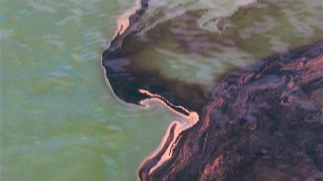 Bocornya sumur minyak di Teluk Meksiko telah mencemari lautan 