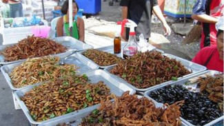 Selamatkan Dunia? Ayo Makan Serangga!