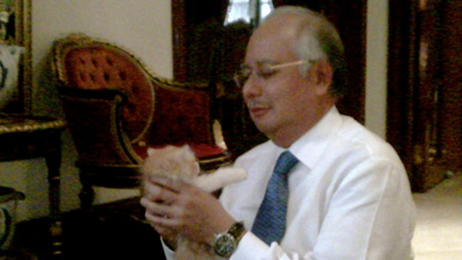 PM Najib Bingung Namai Anak Kucing