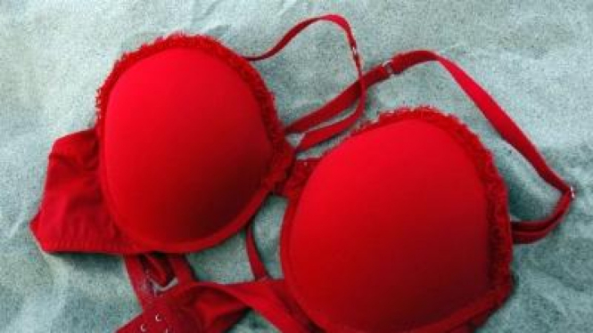 8 Fakta Seputar Push-Up Bra