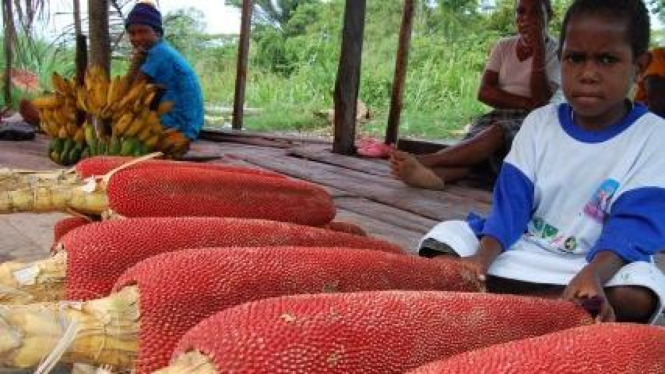 Berdagang buah merah di Papua