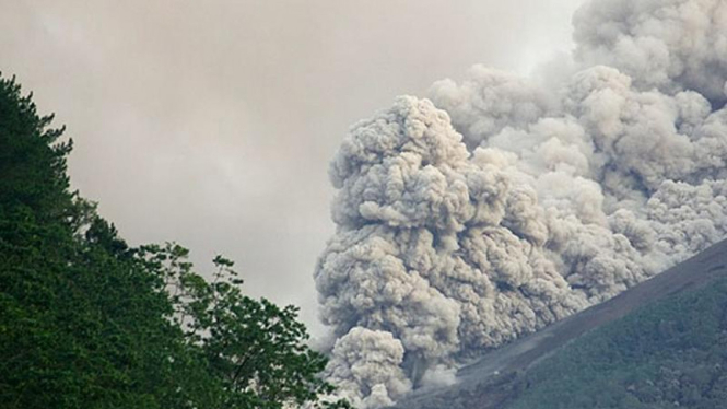 Wedus Gembel saat letusan Gunung Merapi tahun 2006