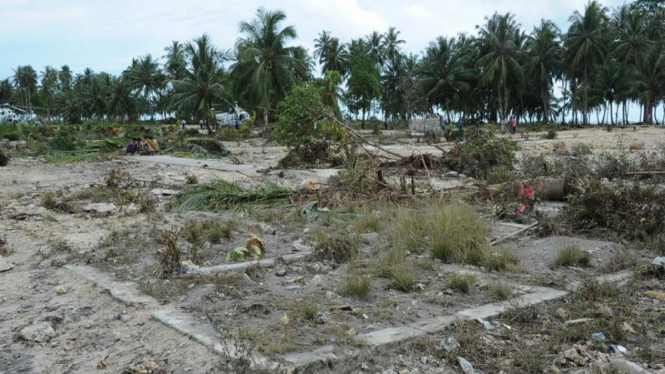Suatu dusun di Mentawai rata dengan tanah setelah diterjang tsunami