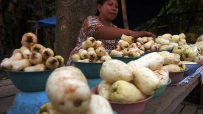 Penjual jambu air di Makassar