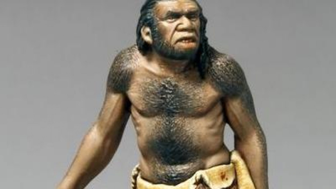 Neandertal