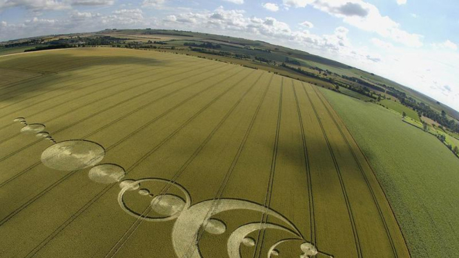 Crop Circle di Wiltshire, Inggris.