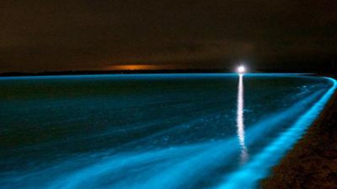 Misteri Danau Gippsland berwarna biru neon, Australia