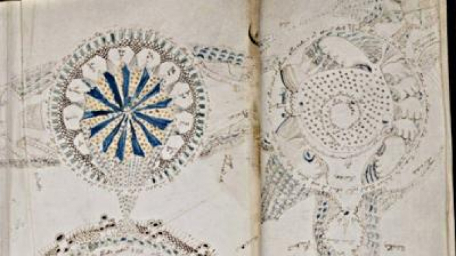 Manuskrip Voynich, paling misterius di dunia