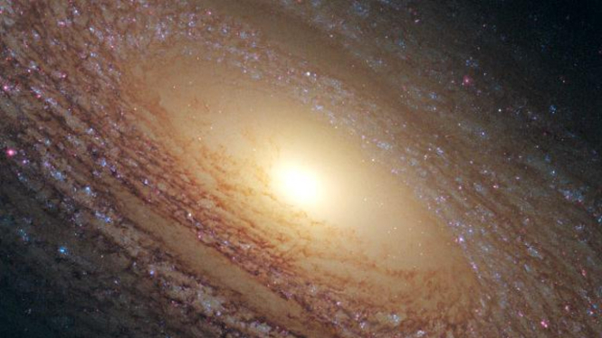 Bintang Baru Lahir di Galaksi NGC 2841