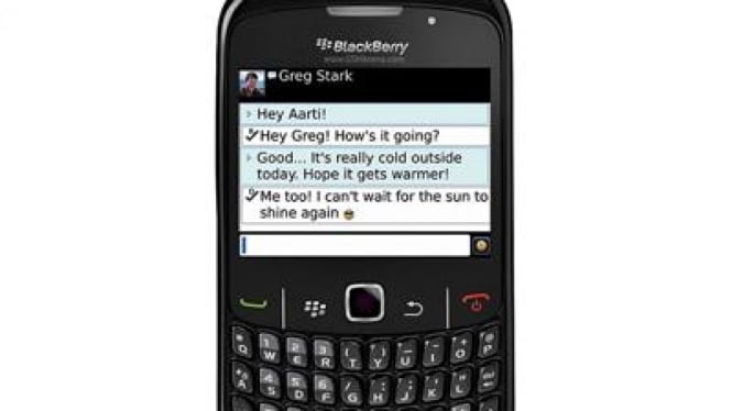 BlackBerry Curve 8530