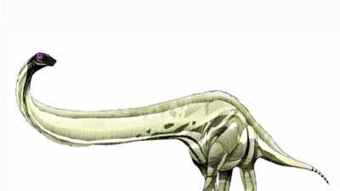 Mamenchisaurus