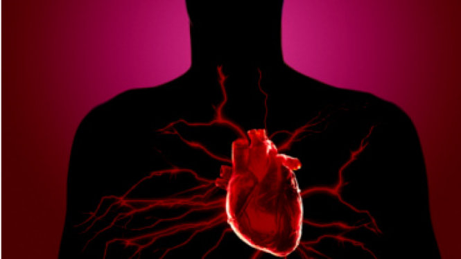 Ilustrasi penyakit jantung.