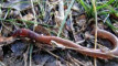 Photo Mini 1