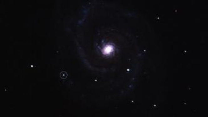 Supernova yang terdeteksi di M51, galaksi tetangga Bima Sakti