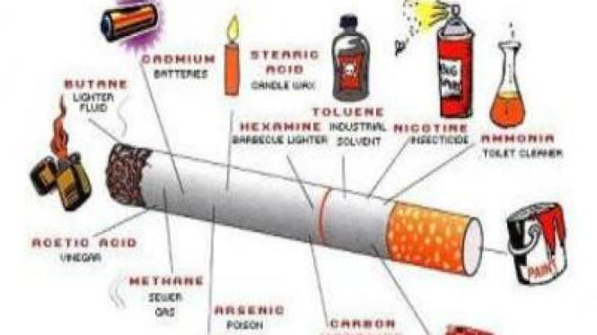 Bahaya merokok