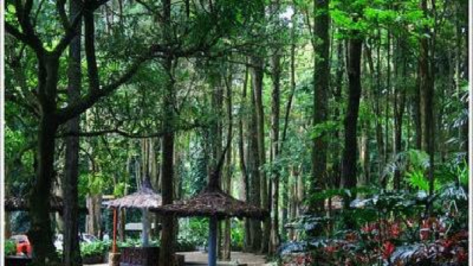 Taman Hutan Raya, Bandung