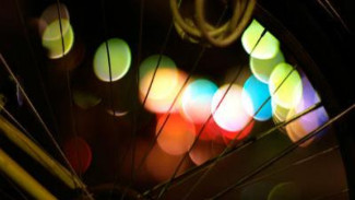 Tips Memotret Pakai Efek Bokeh