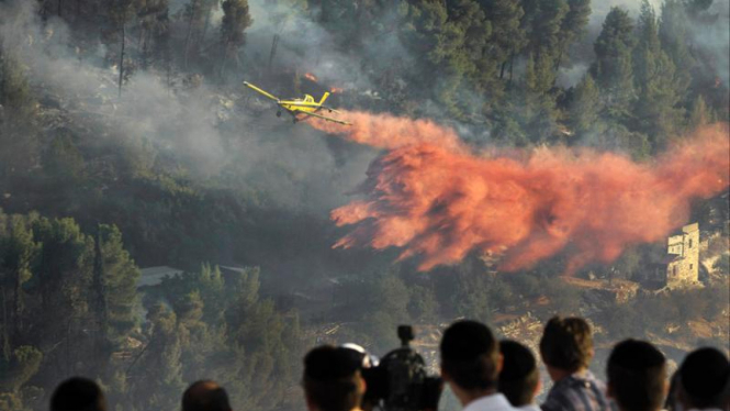 Kebakaran Hutan Israel
