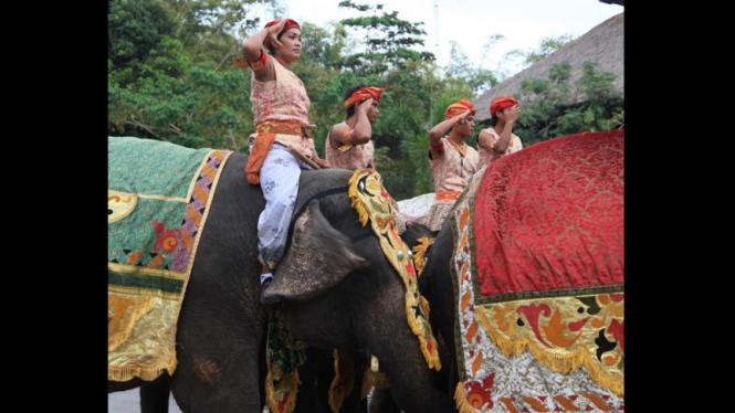 Gajah Ikut Upacara Bendera