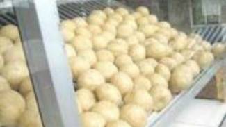 Tahu Bulat, Bisnis Recehan Hasilkan Omzet Jutaan