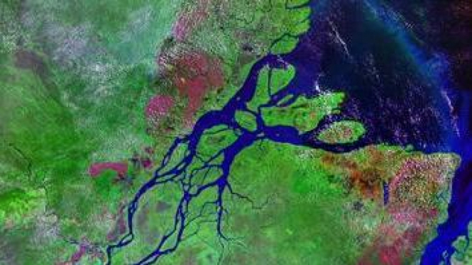 Sungai Amazon dari luar angkasa