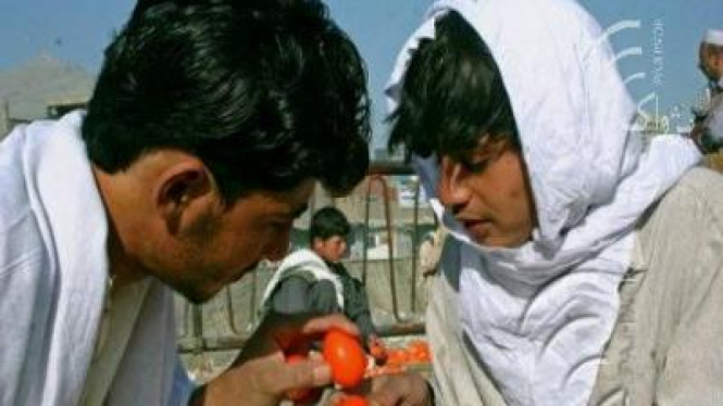 Dua lelaki Afghanistan bersiap mengadu telur